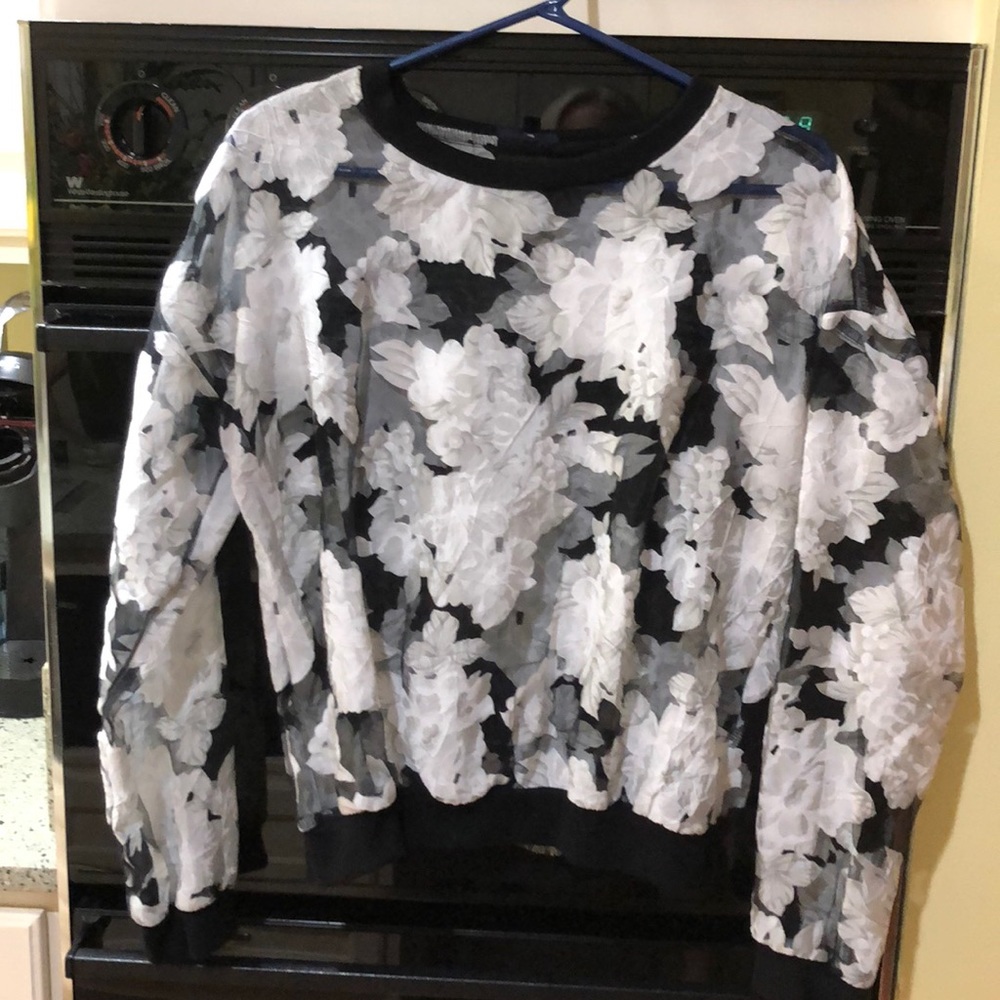 Sheer Pull Over